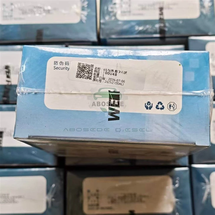 Plunger Element 00U48/U48 | Standardization Benchmark & Tolerance Anchor For WEIFU Pump Rebuilding factory